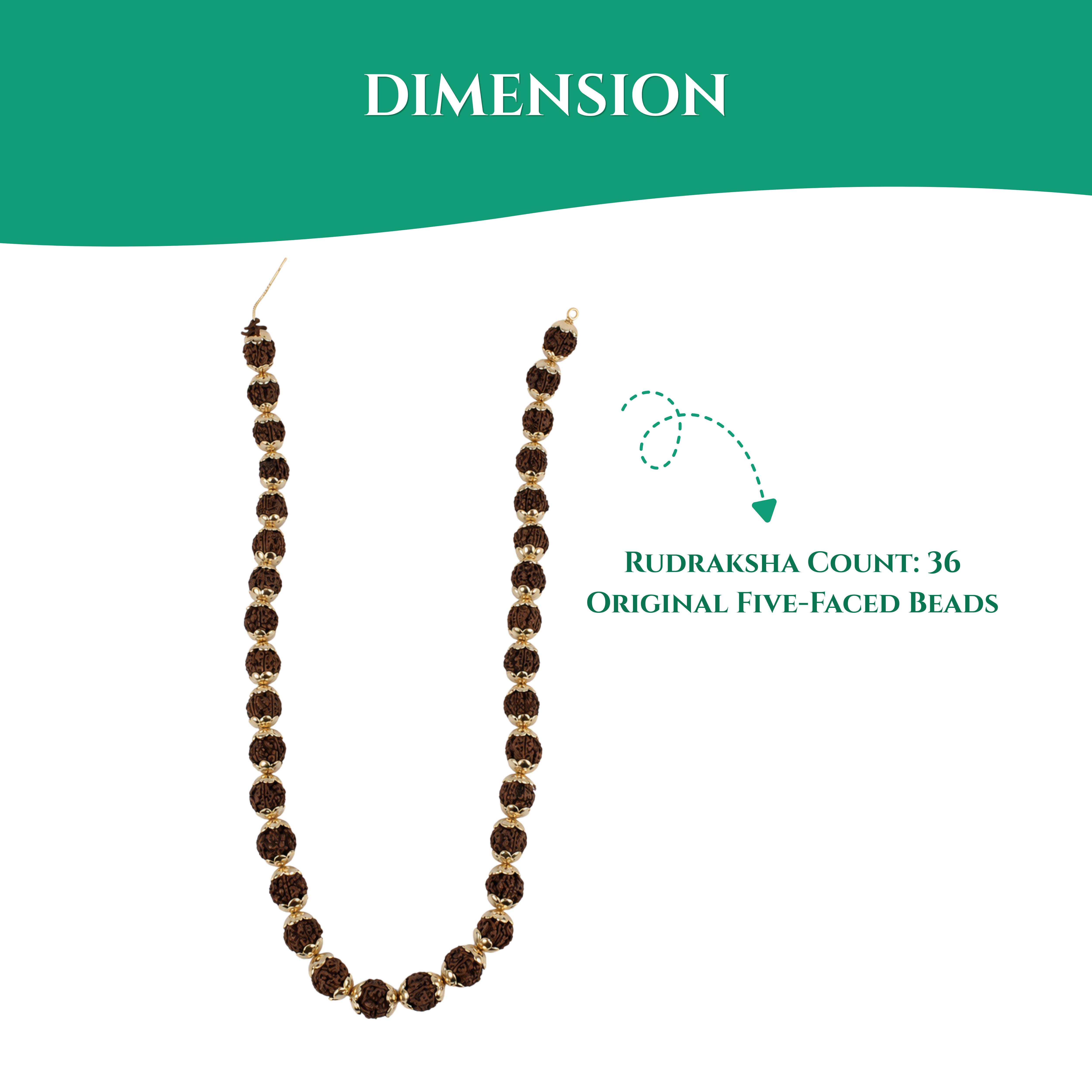 36 Beads Original 5 Mukhi Rudhraksha Maala