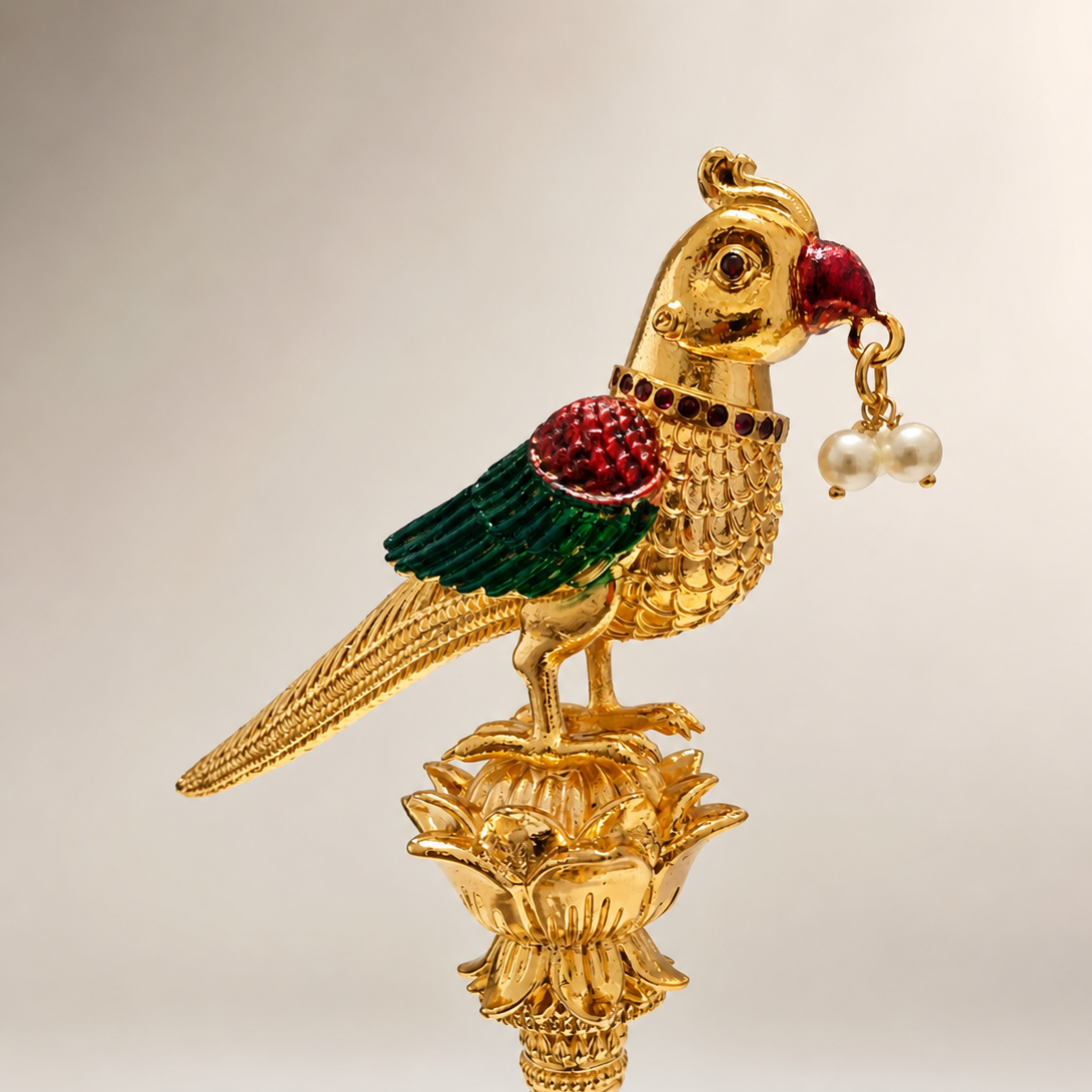 Aandaal Parrot (Kili) Color