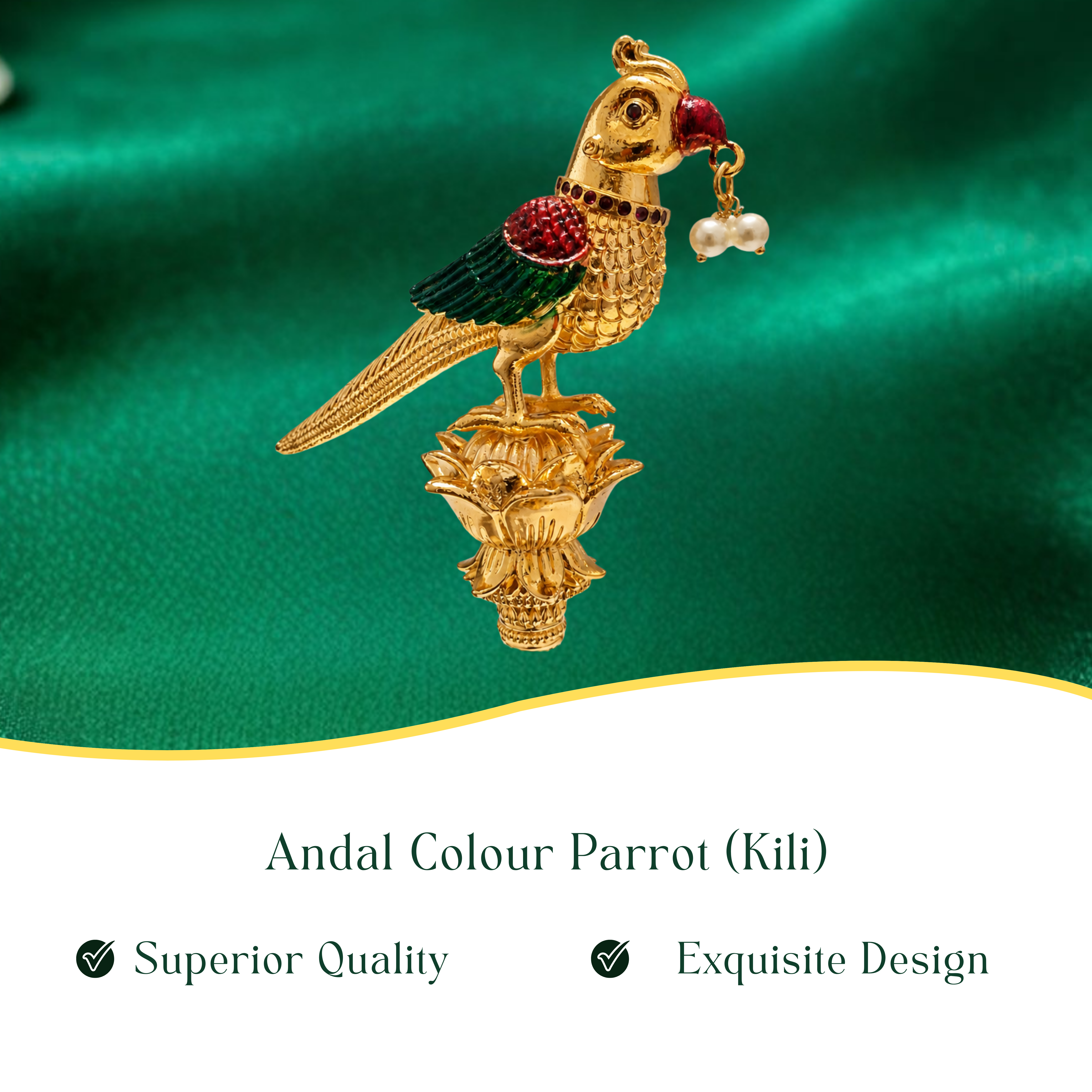 Aandaal Parrot (Kili) Color